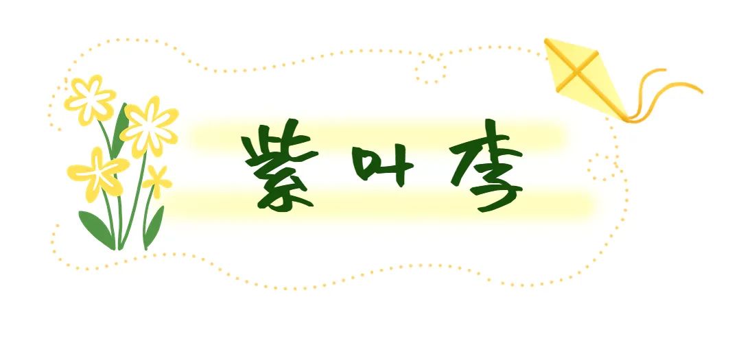 济南周边春天赏花全攻略,济南春日赏花攻略已送达