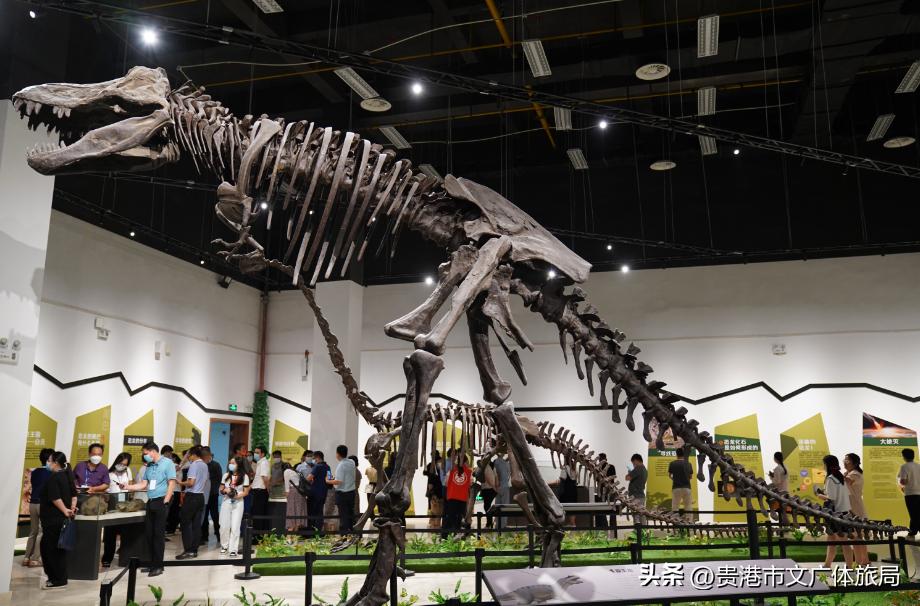 广西研学旅行推荐,2022广西研学旅行方案