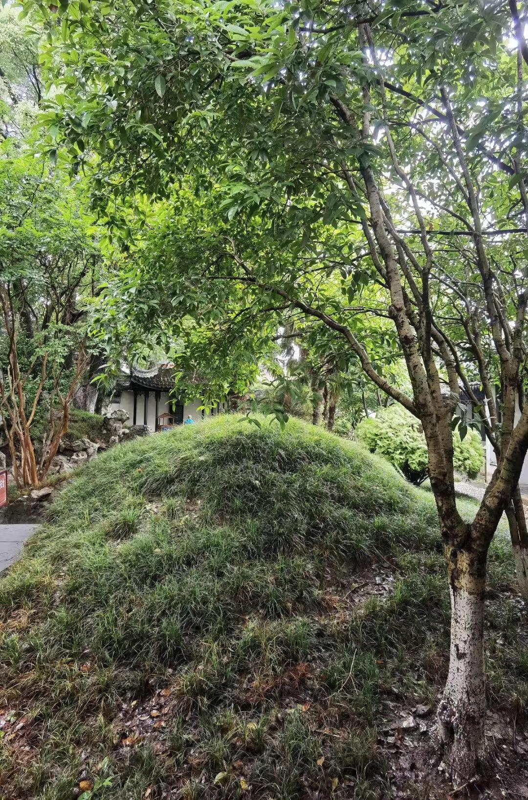 江南千灯古镇有什么好玩的,寻找最美江南之千灯古镇