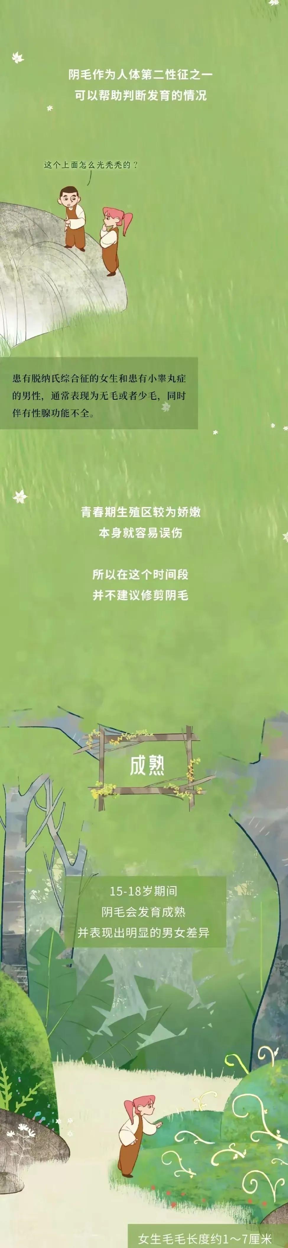 人类阴毛从初生到脱落的全过程，中间都会出现哪些变化？好神奇