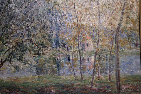 解封后苏州的堂食,苏州解封后的活动