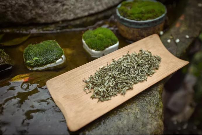 每天以茶代水这样真的好吗,喝茶每天习惯泡一壶好茶慰藉自己