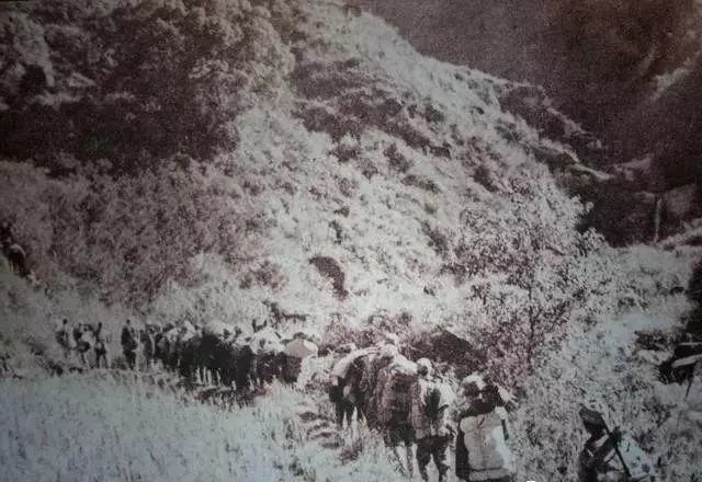 入党调查写自己的生父还是继父,一名大学生入党申请书1000字