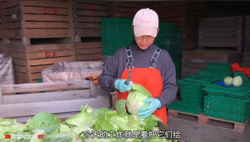 学习挪威语去挪威生活定居,中国人远嫁挪威受欢迎吗