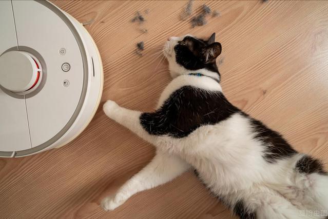 扫地机器人为什么会火,扫地机器人突然自毁了