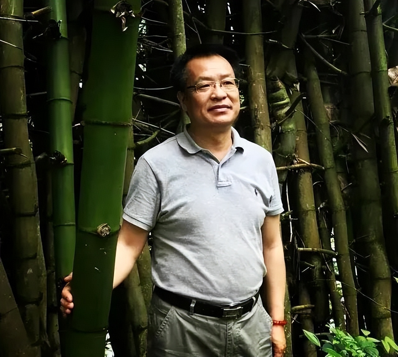 蔡元定麻沙八景诗翻译,蔡元定的麻沙八景诗