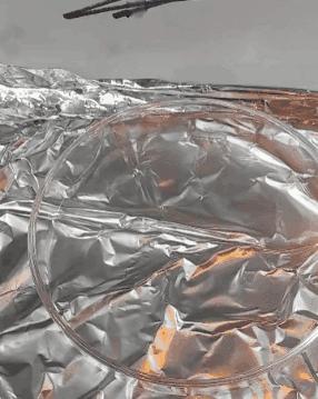 18张有趣的图,33张有趣的照片展示出奇妙的世界