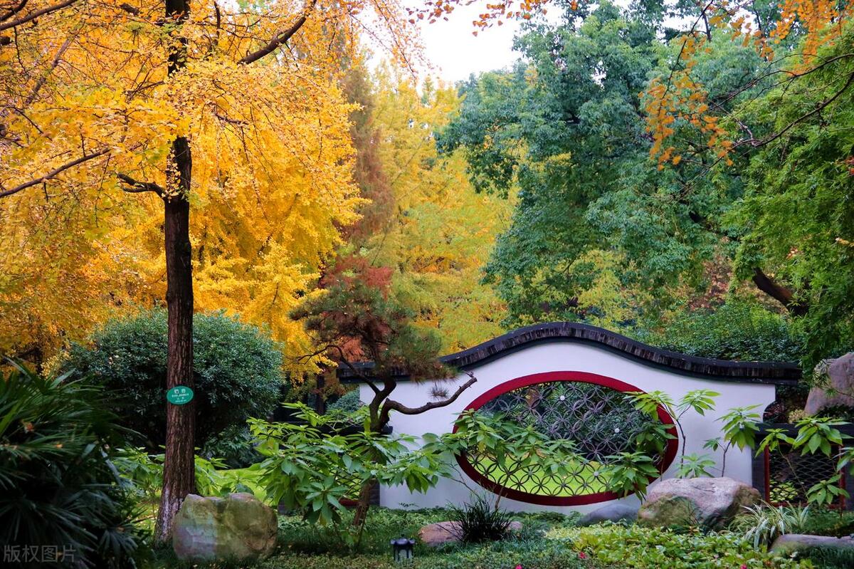 成都最美的公园,成都最美的公园叫什么名字啊