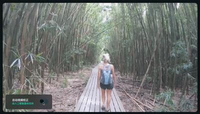 目前比较好用且准确的ai工具,2023年哪些Ai工具最具发展潜力