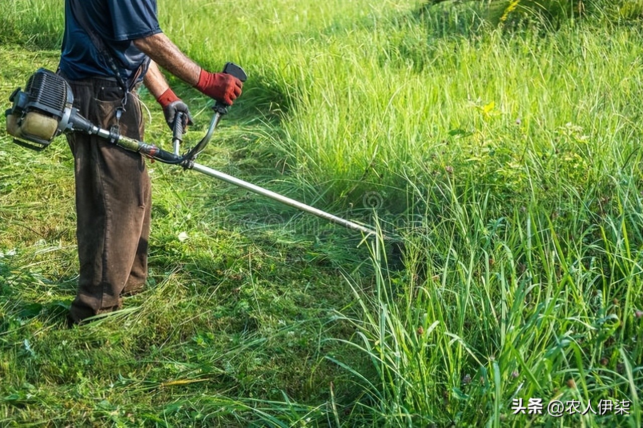 背负式割草机使用方法图解教程,背负式割草机如何割的高度整齐