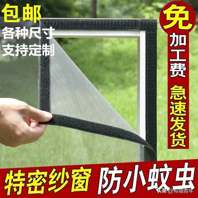 养猫有什么办法驱蚊子,养猫不可以用蚊香怎么驱蚊