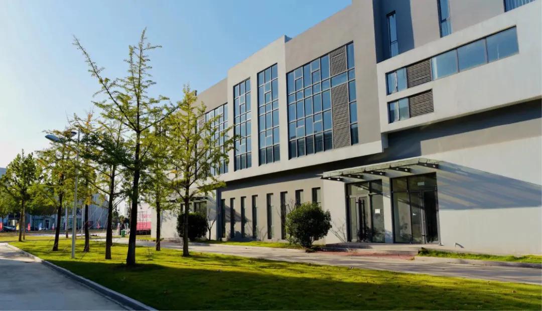 满园春色,唯有牡丹最倾城,赵金明笔下的牡丹,绝美