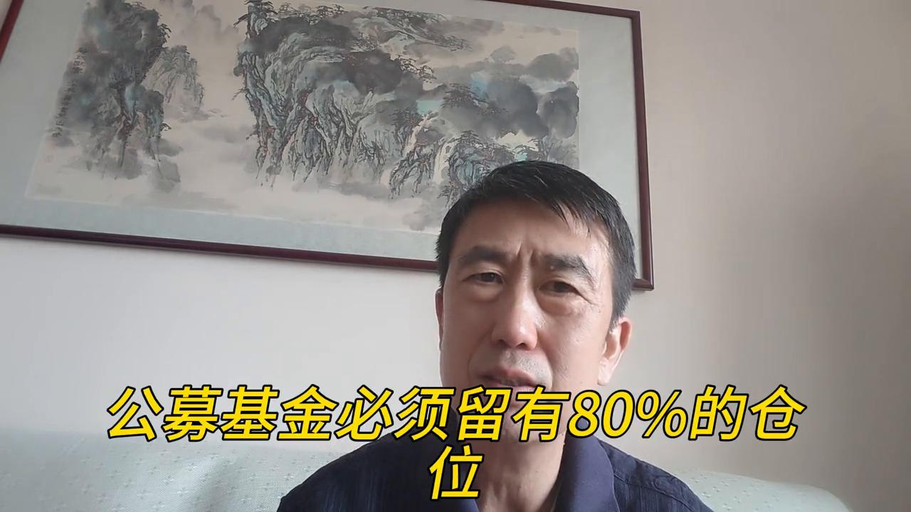 股票基金和股票有什么区别,股票型基金算股票还是基金