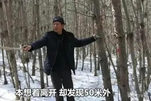 老虎在哪个地方比较有利自己,老虎的软肋是什么