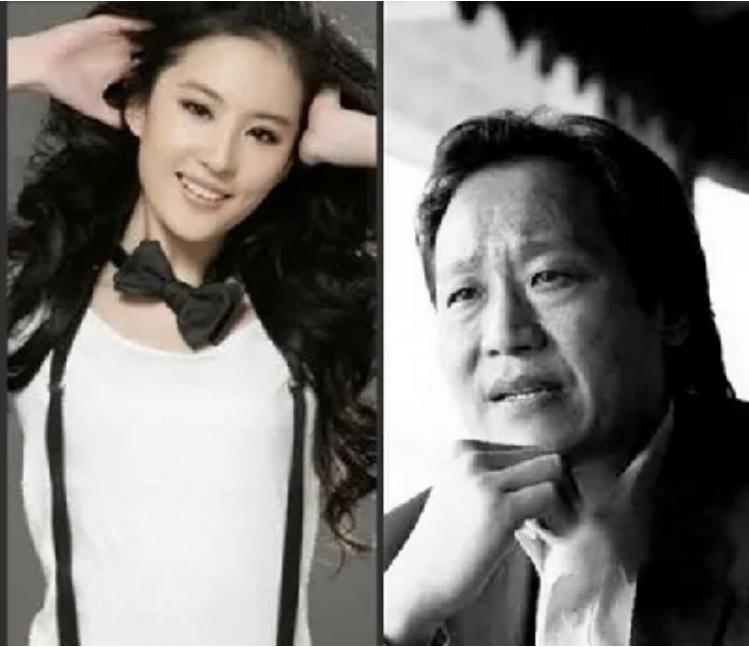 刘亦菲杨采钰比较 (刘亦菲陈金飞杨采钰微博)