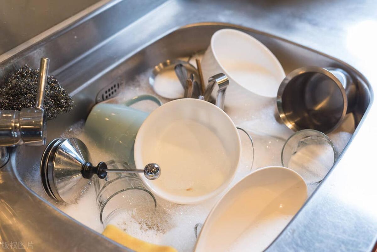 蟑螂出动的预兆,蟑螂警报