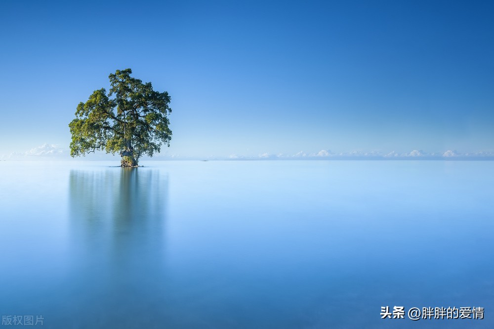 人生百味尝了一味,人生百味酸甜苦辣咸都尝尽