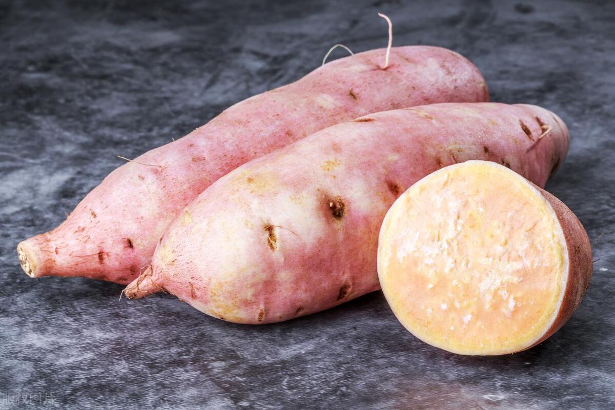 最佳减肥食谱12种天然减肥食物,减肥吃什么食物能快速瘦下来