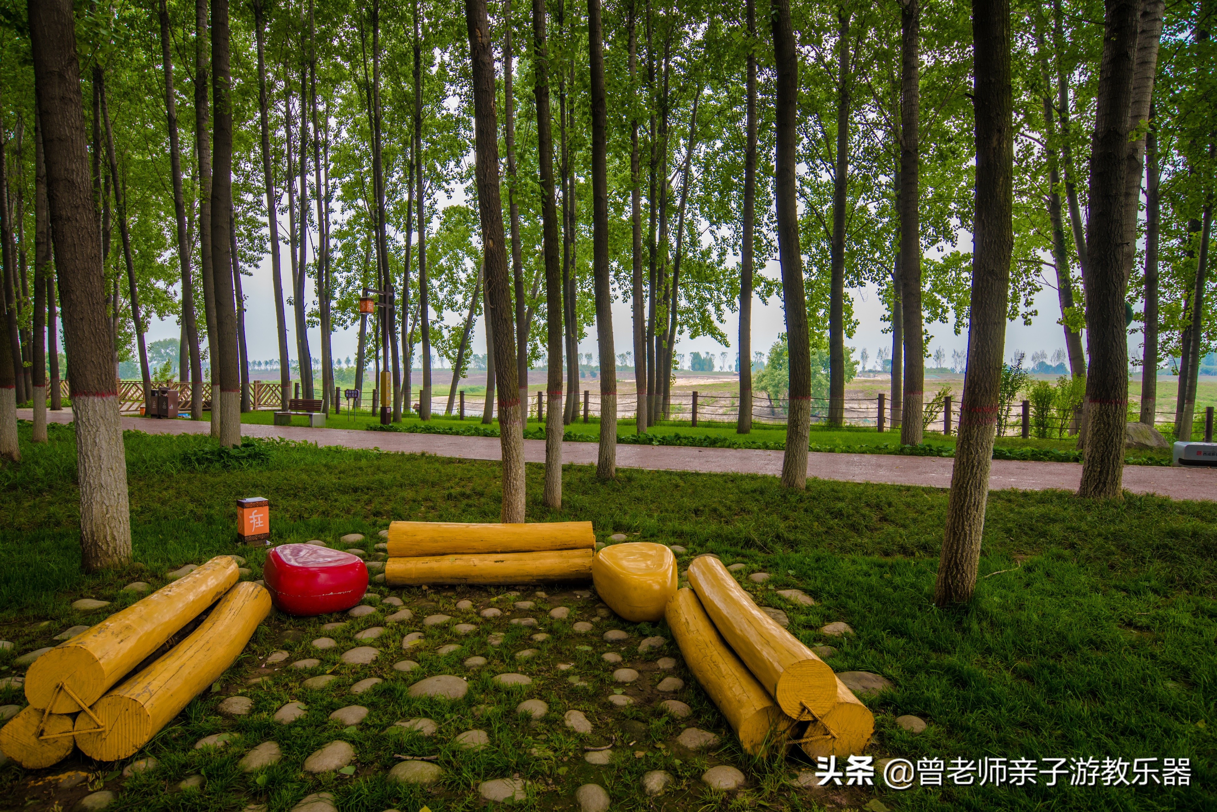 2022西安遛娃一日游的绝佳去处,2022年春节西安遛娃去哪玩最合适