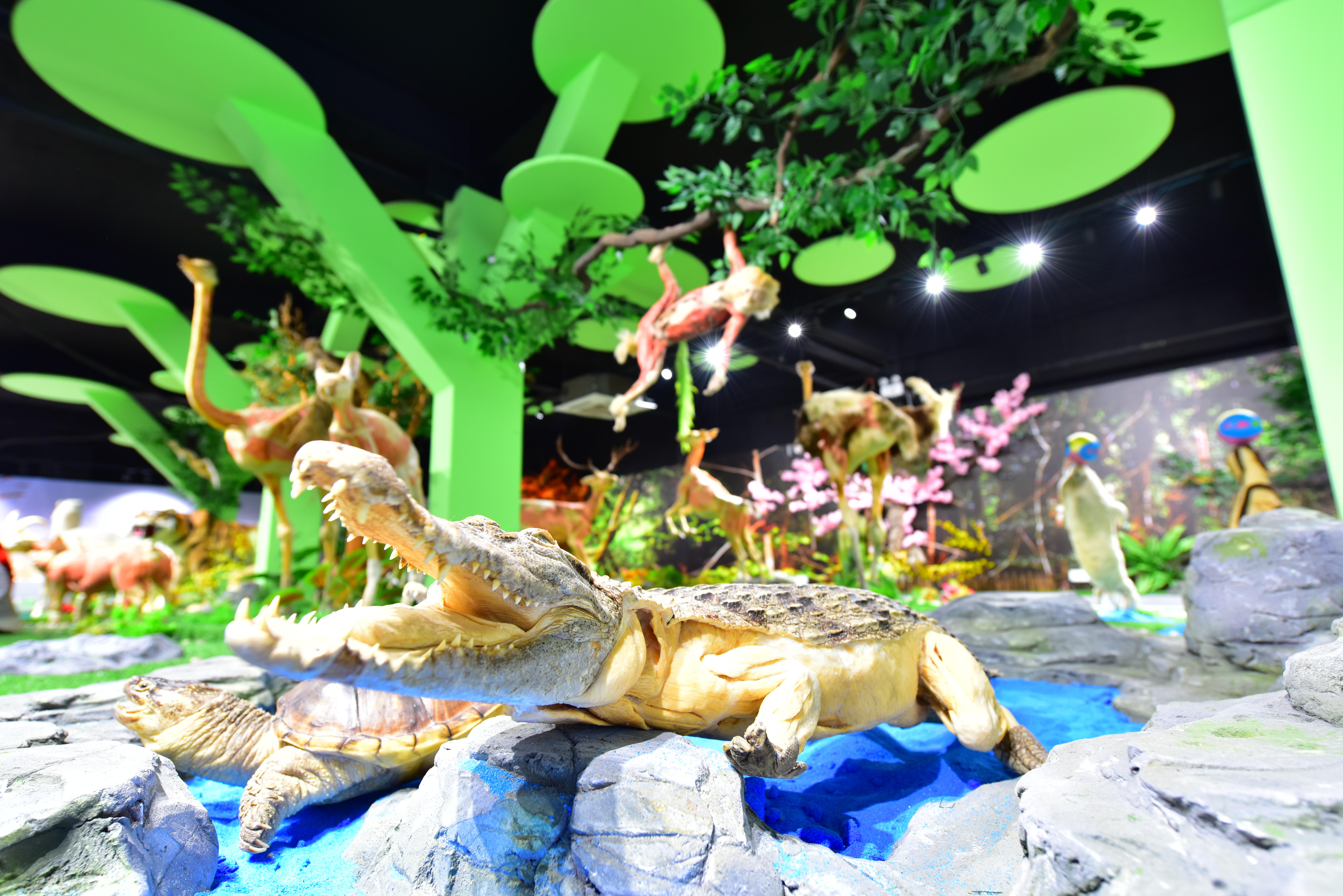 郑州春节遛娃游玩排行榜前十名,郑州冬季周末遛娃好去处