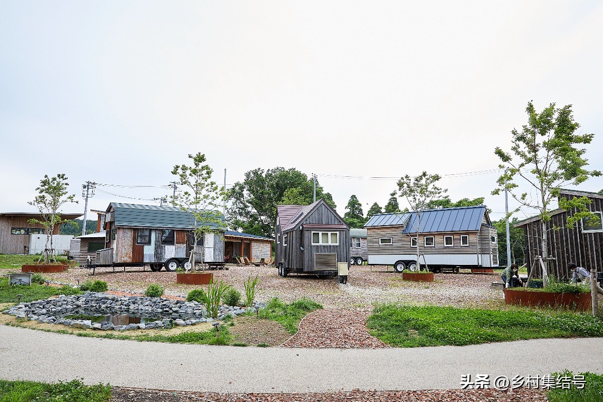 日本农业大县探寻乡村振兴新路,日本家庭农场农业模式