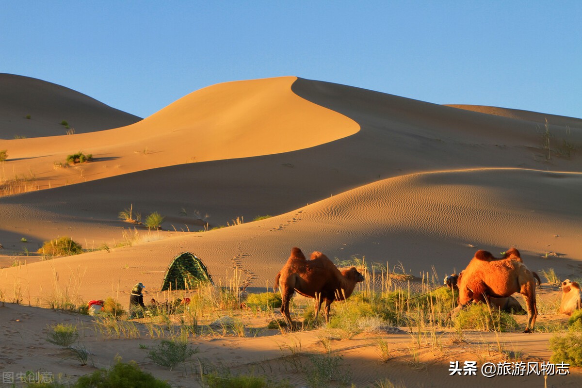 内蒙古有沙漠的地方有哪些,内蒙古九大草原五大沙漠