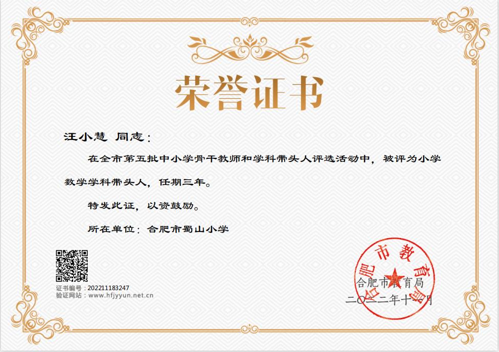 合肥市第五届骨干教师评选标准,合肥蜀山区小学教师