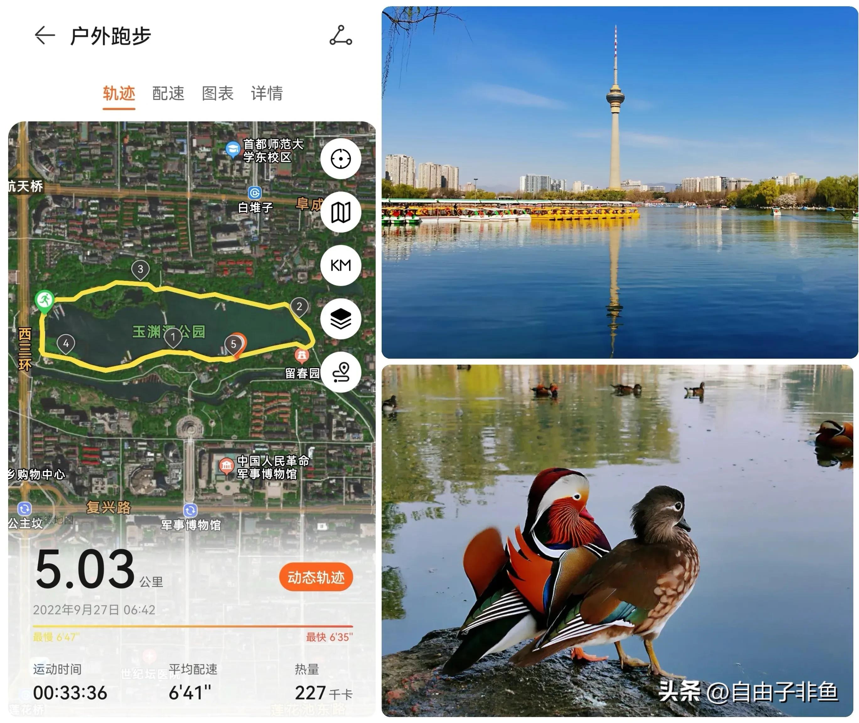 北京植物园跑步路线,北京适合跑步的地方