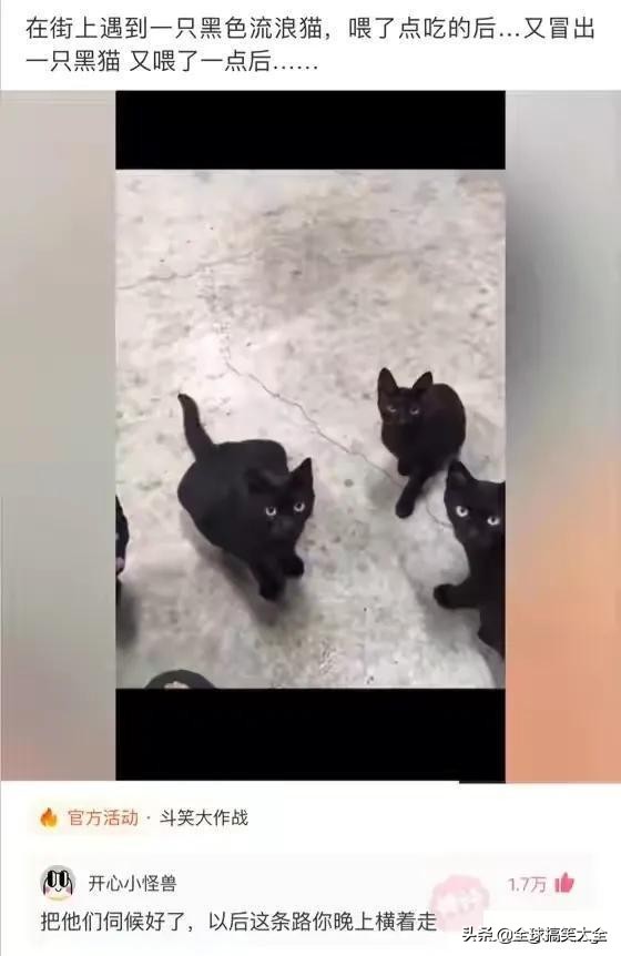 02年的老阿姨神回复,阿姨级别神回复