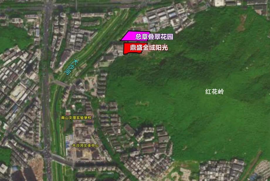 西丽新盘哪个好,西丽30多平新盘