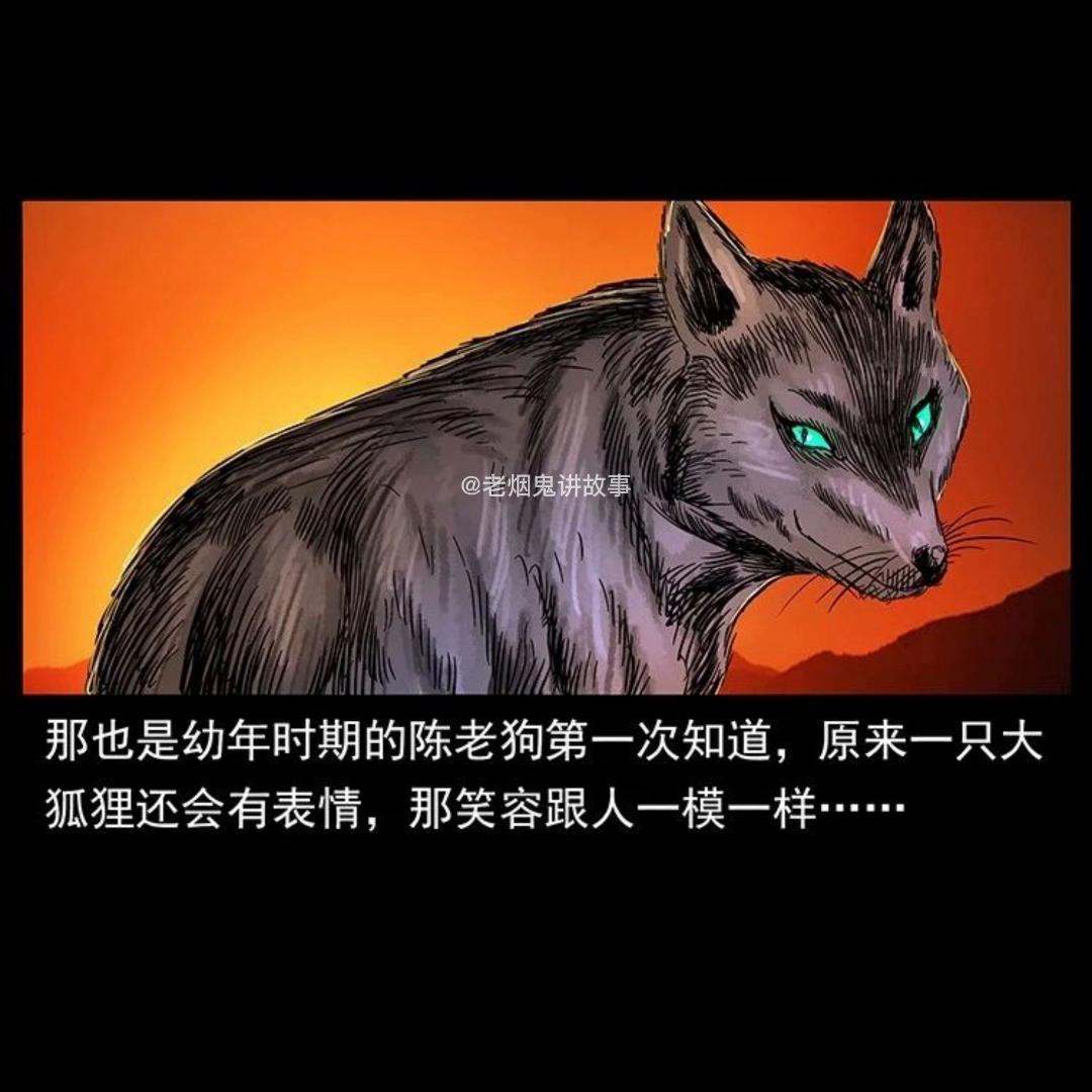 dou+小助手官方直播,dou+小助手官方正版