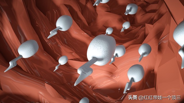 想要怀上女宝宝应该注意些什么,想要女宝宝夫妻双方应该注意什么