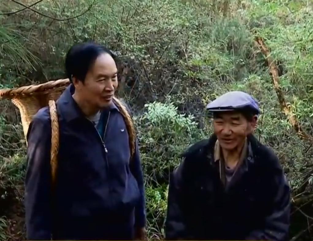 云南教师考察时发现商机，大山里挖“土疙瘩”，一公斤能卖5000元