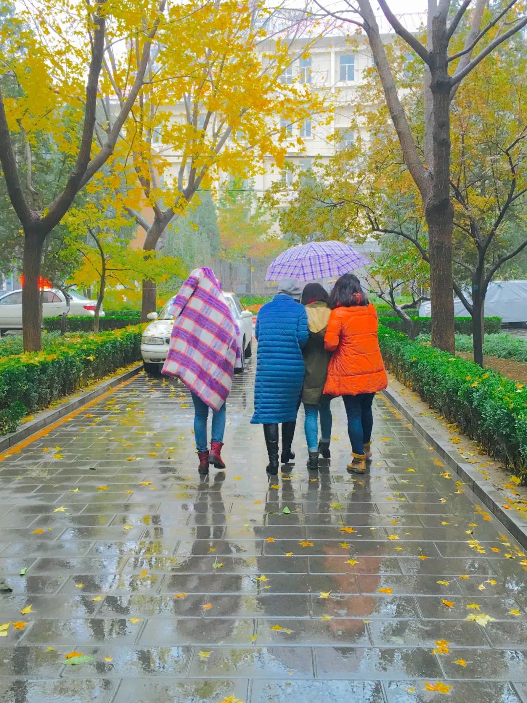 美丽的人民日报大院，我们温暖的家