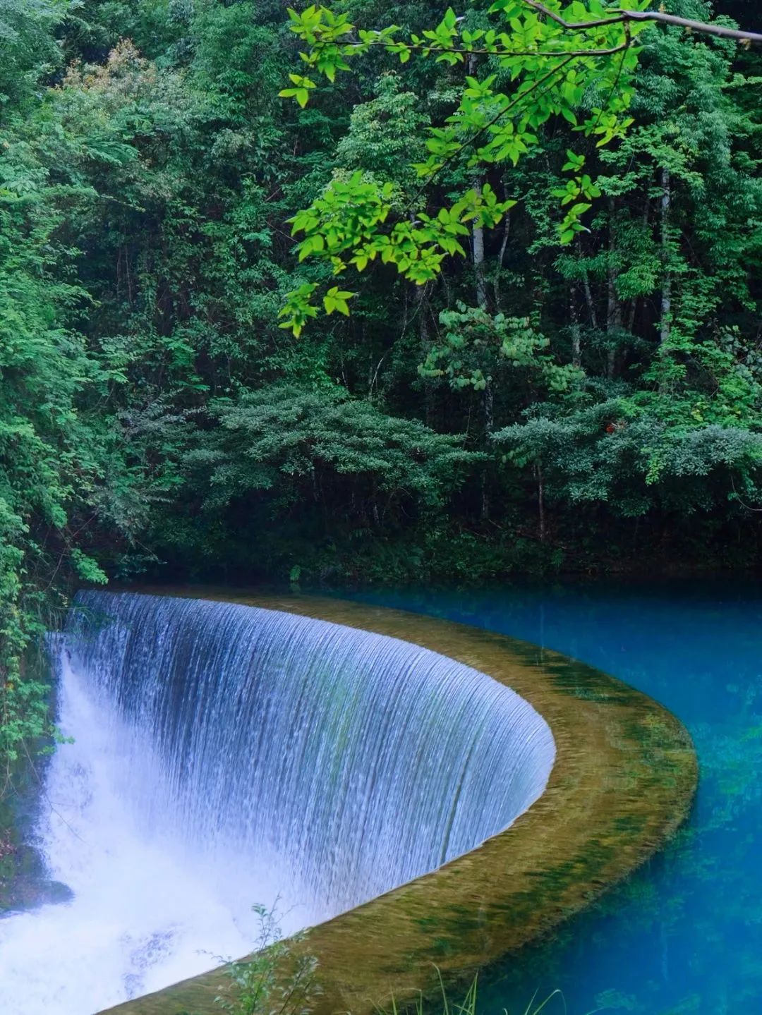 夏天凉快风景好又有水的旅游景点,夏天旅游景点哪里最好玩
