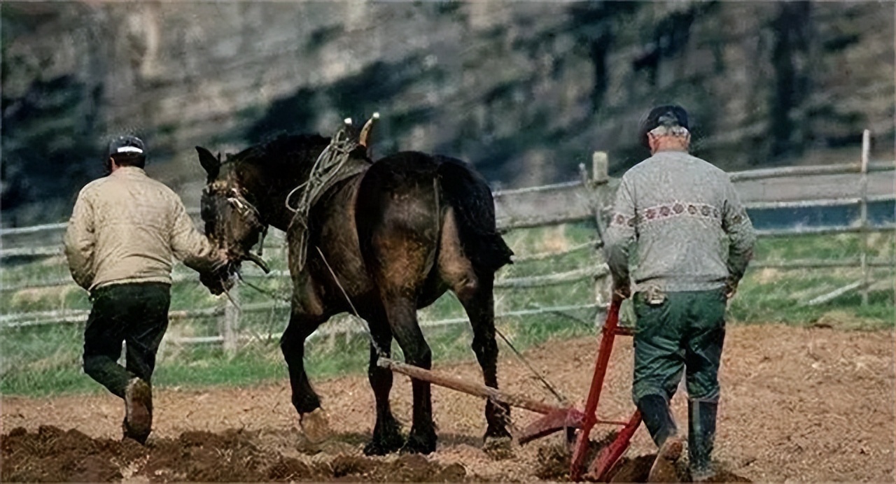 “穷死不耕丈人田，饿死不进萝卜园”是什么意思？