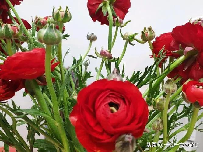 关于自律的七言古诗,廉洁自律七言诗书法