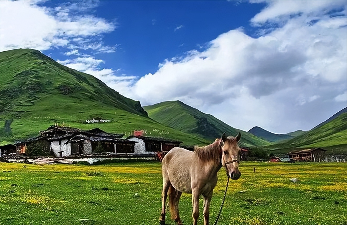 我们赞美四川70年发展变化,真正的四川现状