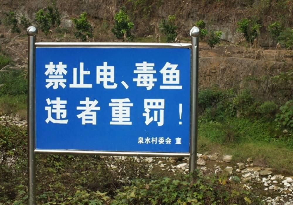 为什么电鱼危害大,电鱼违法为什么还有电鱼设备