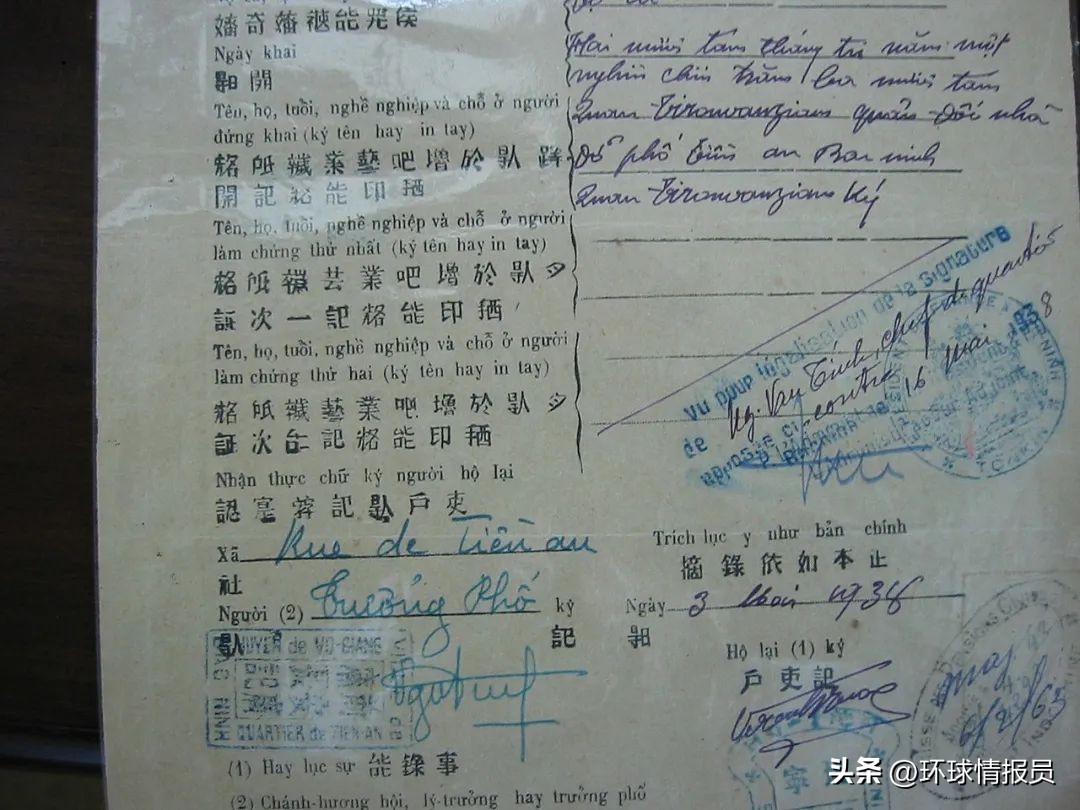 猫为什么没有入选十二生肖,越南为什么把兔年叫猫年