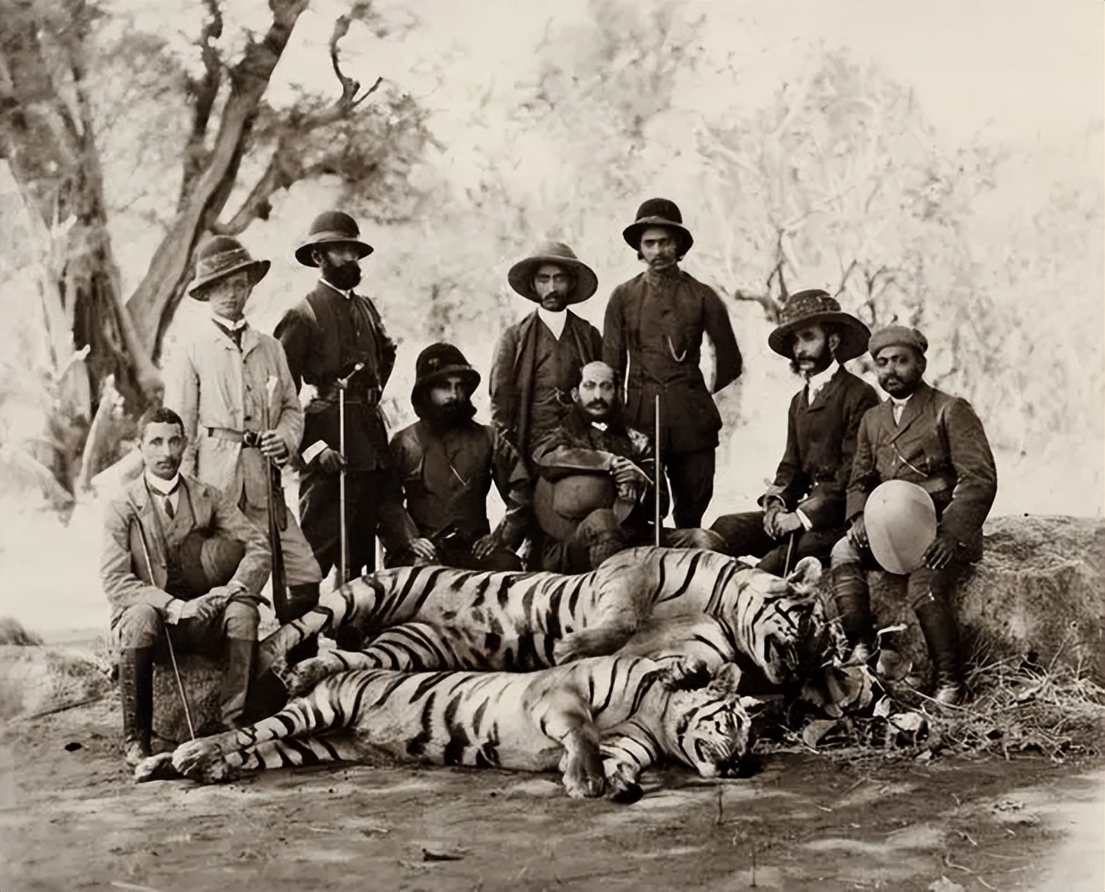 缅北训狗场女性被救,缅北训狗工厂