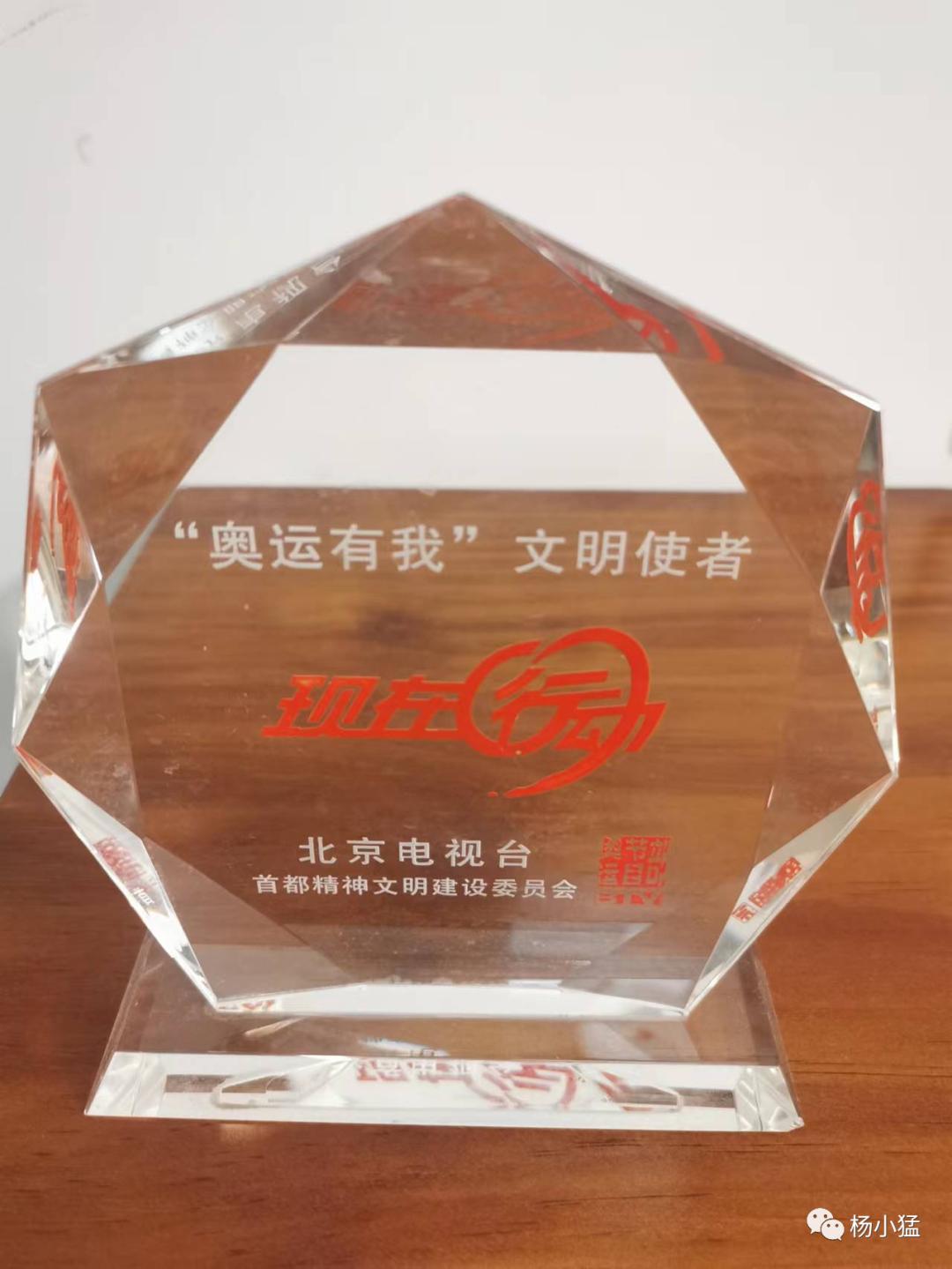 向岗记事,19：风筝·再次做放