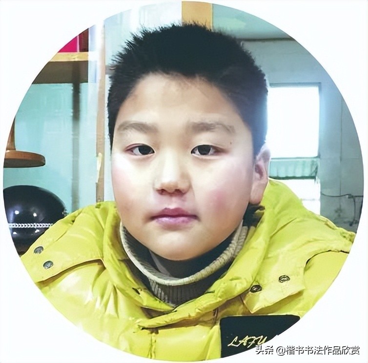 全国硬笔书法大赛作品集锦,全国首届硬笔书法大赛特等奖作品