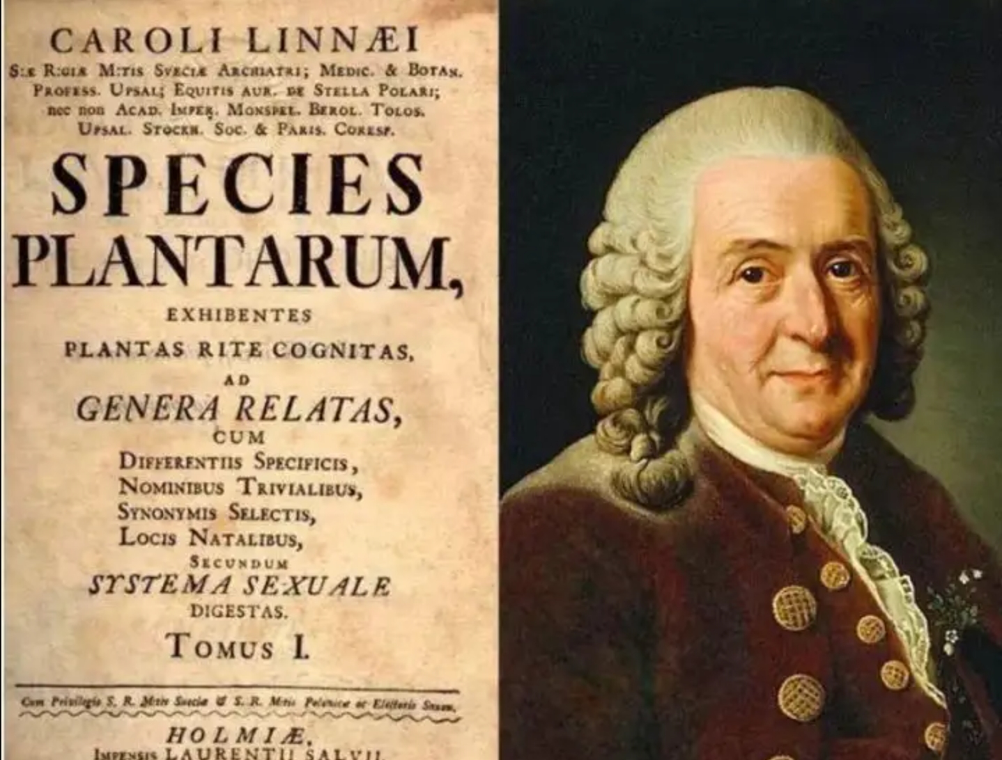 中国人黄种人,中国人为啥被叫黄种人