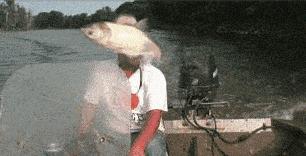 30万娶老婆搞笑视频,妻子输光200多万丈母娘退货