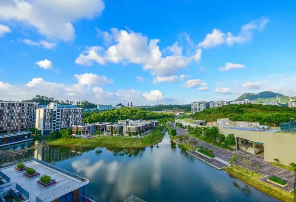 中国最挣钱的学校,大学最赚钱的学校