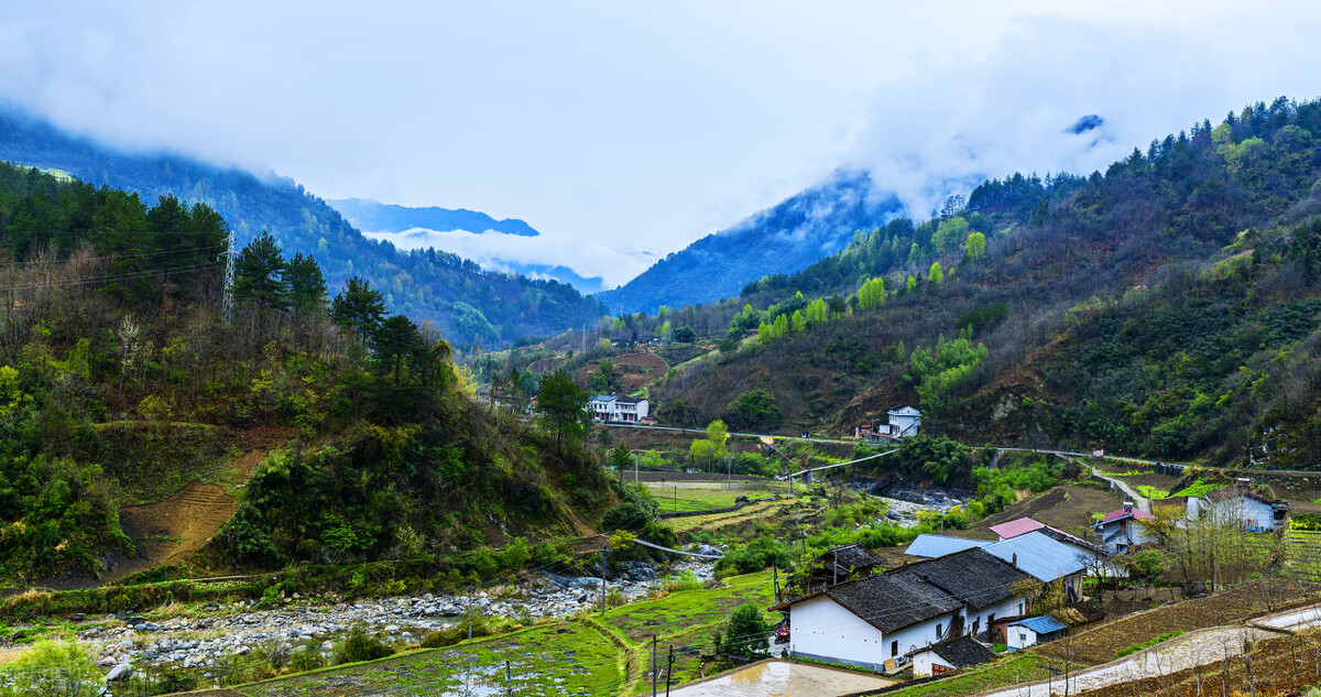 聚焦人大代表发言材料,聚焦人大代表建言献策