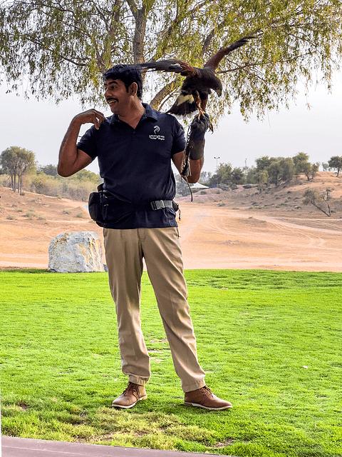 阿联酋丽思卡尔顿,阿联酋野奢帐篷