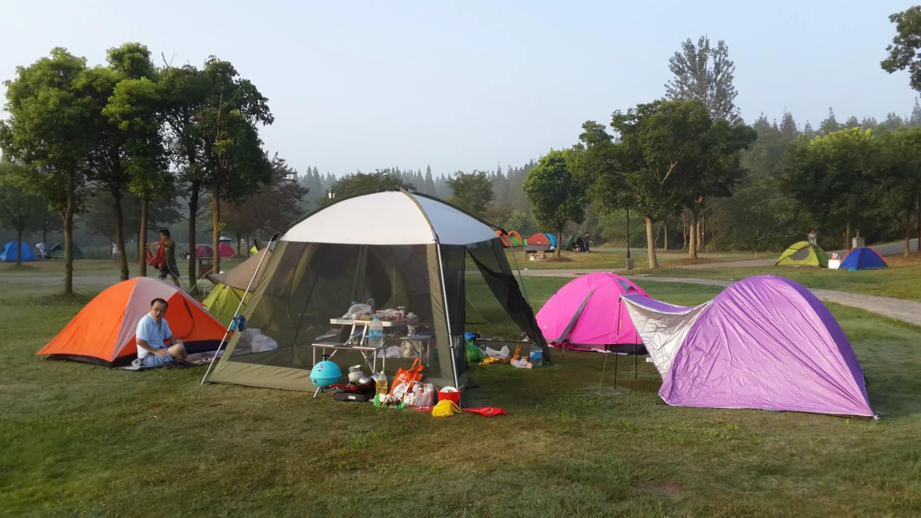 上海遛娃好去处周末亲子时光,上海有哪些值得遛娃的地方