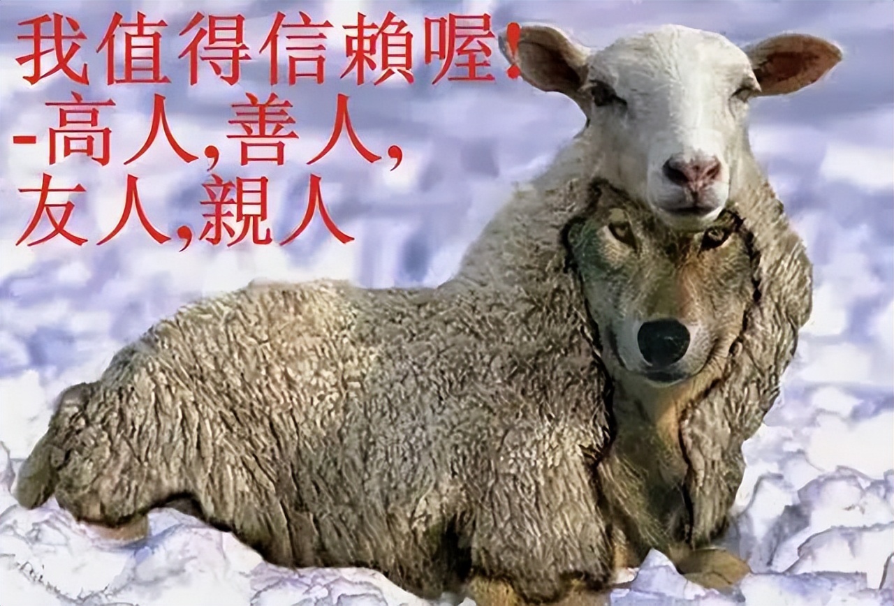 科普反邪常识,反邪科普讲解视频